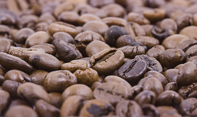 Macro of coffee beans