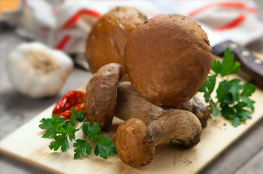 Funghi porcini - Porcini mushrooms