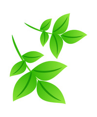 icon leaf