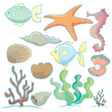 sea animals and plants