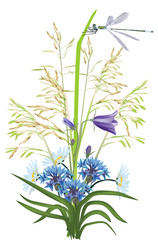 Fototapeta na wymiar dragonfly and wild flowers illustration