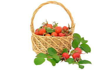 Rose hips in the wicker basket