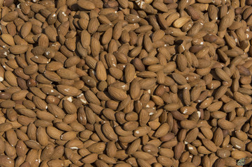 Pile of almonds
