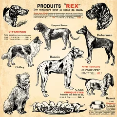 Peel and stick wall murals Newspapers Les chiens