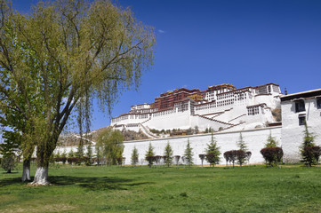 Fototapeta na wymiar Tibet Potala Palace