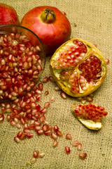 Pomegranate (Punica granatum)