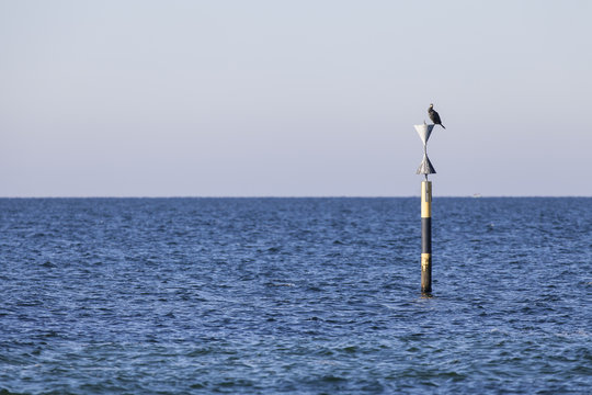 Pilone Bilder Durchsuchen 1,292 Archivfotos, und