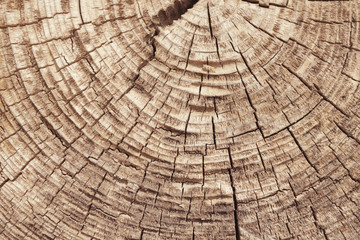 cracked wooden texture
