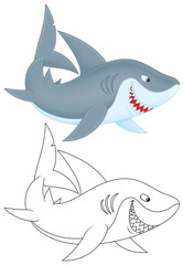 Obraz premium Great white shark