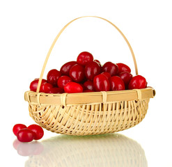 fresh cornel berries in wickerbasket isolated on white