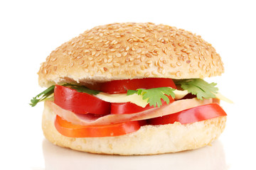 Appetizing sandwich isolated on white
