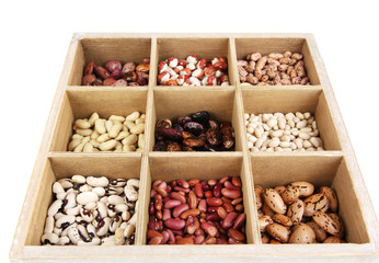 Diverse beans in wooden box sections isolated on white