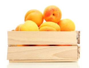ripe apricots in wooden box isolated on white