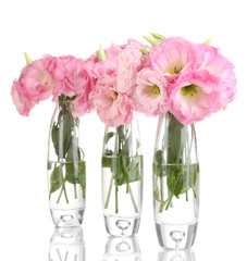 bouquet of eustoma flowers in vases, isolated on white