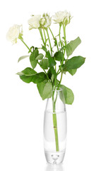 Beautiful roses in glass vase isolated on white