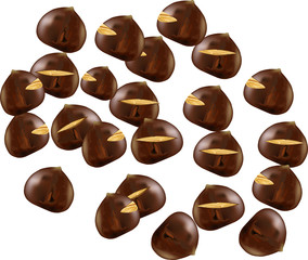 castagne caldarroste-chestnuts roasted chestnuts