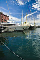 Fototapeta premium yachts at berth