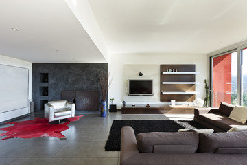 beautiful house, modern style, living room