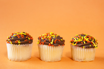 Autumn Cupcakes