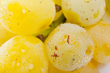 wet white grapes