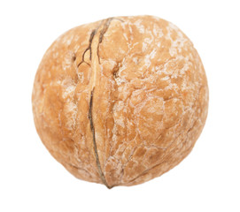 walnuts on a white background. macro