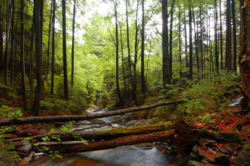 Autumn landscape in Czech Republic