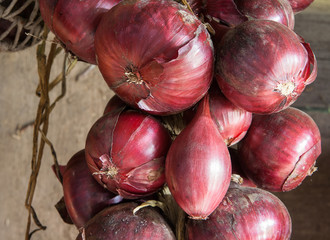 Red onion in a bundle