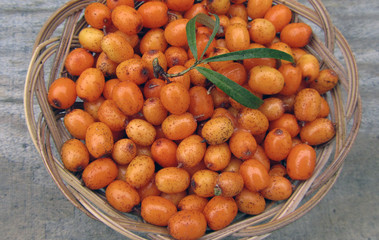 ripe sea buckthorn in basket on wooden background, close-up