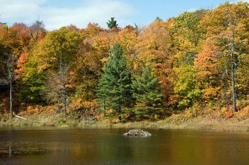 Fall colours over Canadian lake