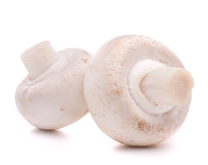 Fototapeta na wymiar Champignon mushroom