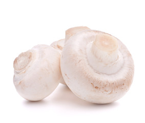 Champignon mushroom