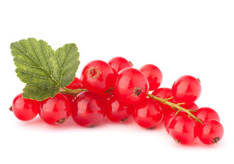 Red currants and green leaves still life