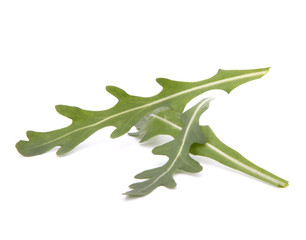 Sweet rucola salad or rocket lettuce leaves