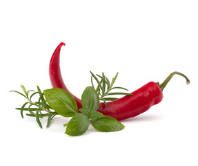 Chili pepper
