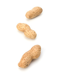 Peanut