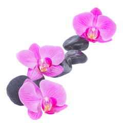 Fototapeta na wymiar border of orchid and zen stones