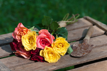 Blumenstrauss, Bouquet of flowers