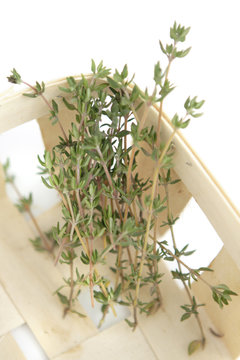 thyme herb in wooden box on white background