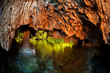 Foto auf Acrylglas Cenote, underwater cave, Yucatan © sunsinger