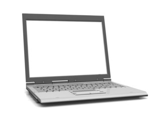 Professional Laptop isolated on white with empty space