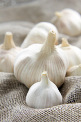 Garlic