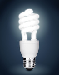 Energy saving fluorescent light bulb