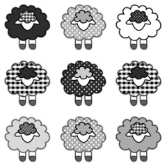 Obraz premium Black sheep, Gingham and Polka Dots, black and white