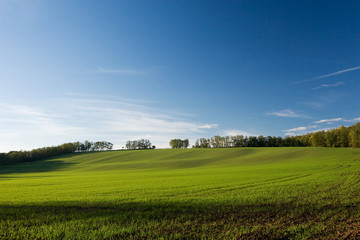 Green field and blue sky at sunset