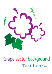 Grape vector background