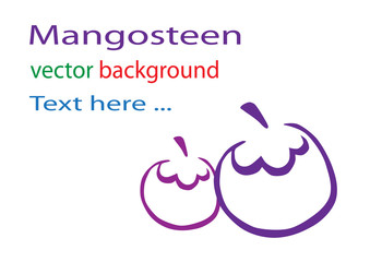 mangosteen vector background