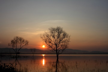 Obraz premium Sunrise over dam with dead trees , at Thailand