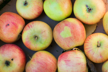 Container with fresh apples
