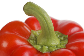 Bright red pepper closeup
