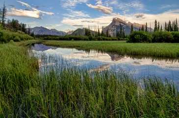 Fotobehang Vermilion Lakes Marshland With Mountain Reflection © souvenirpixels